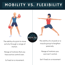 Importance of Flexibility and Mobility